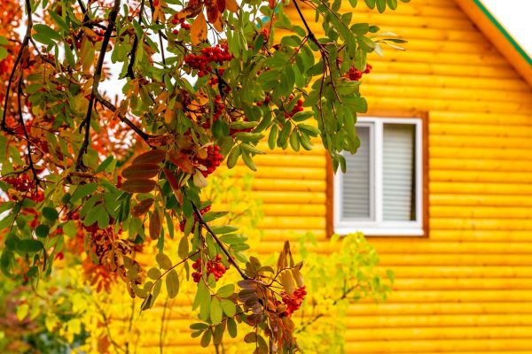 Garden Window Replacement in Bradenton
